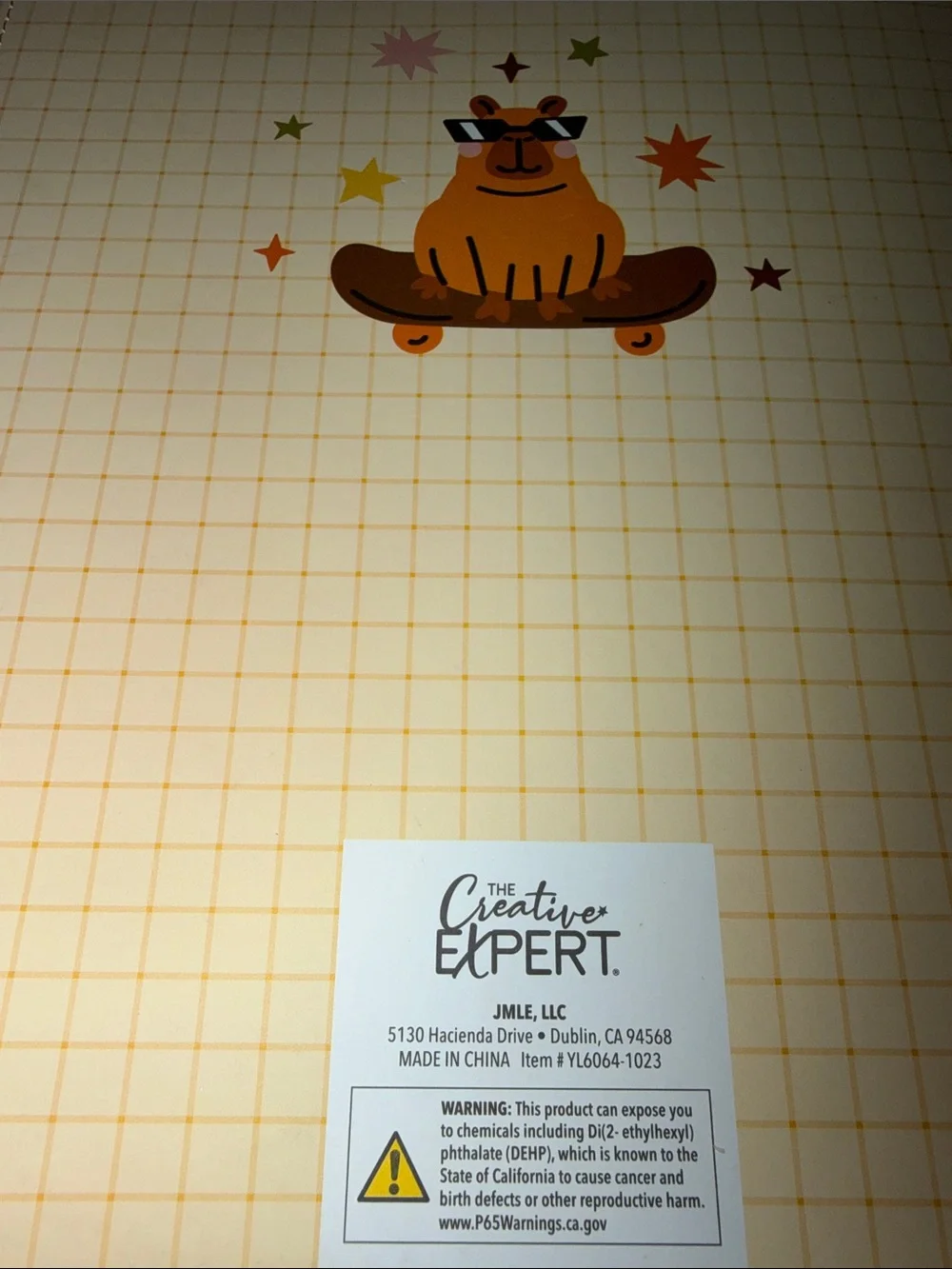 2027 Large Weekly Planner 17 month - Cutest CAPYBARA on Skateboards & Scooters!